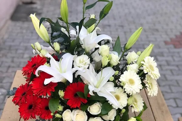 Alanya Çiçek Armağan Flowers Цветы - Resim 20