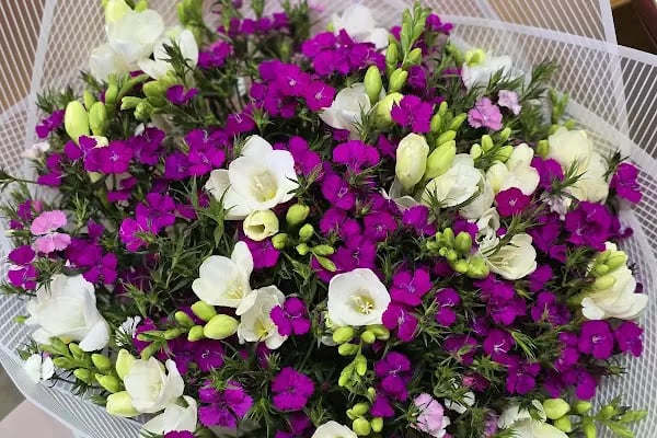 Alanya Çiçek Armağan Flowers Цветы - Resim 15