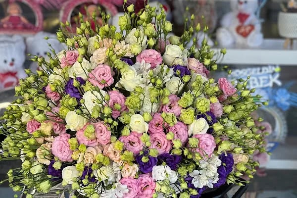 Alanya Çiçek Armağan Flowers Цветы - Resim 17