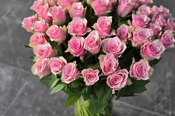 Alanya Çiçek Armağan Flowers Цветы - Resim 5
