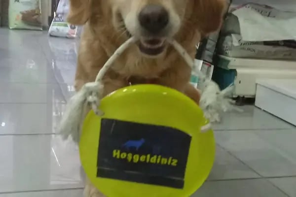 SAFE PET MARKET - Resim 12