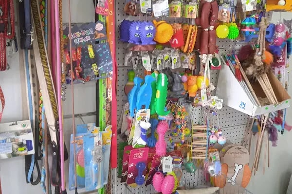 SAFE PET MARKET - Resim 15