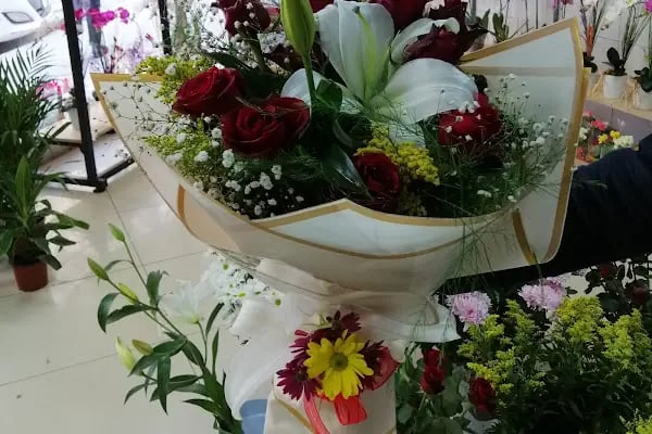 Rosa Çiçekçilik ve Hediyelik Eşya - Resim 1