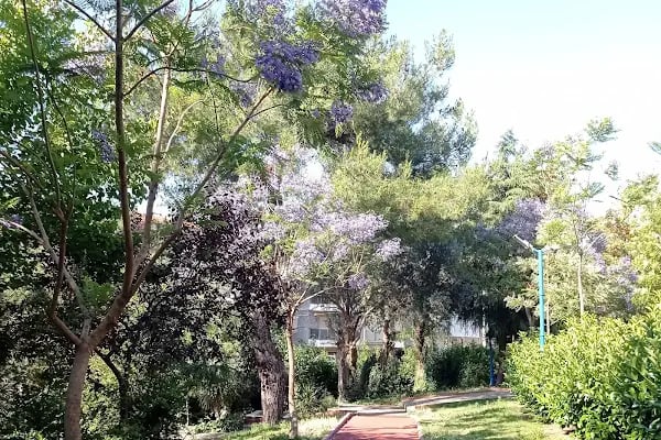 Karabağlar Belediyesi Ahmet Piriştina Doğa Sit Parkı - Resim 14