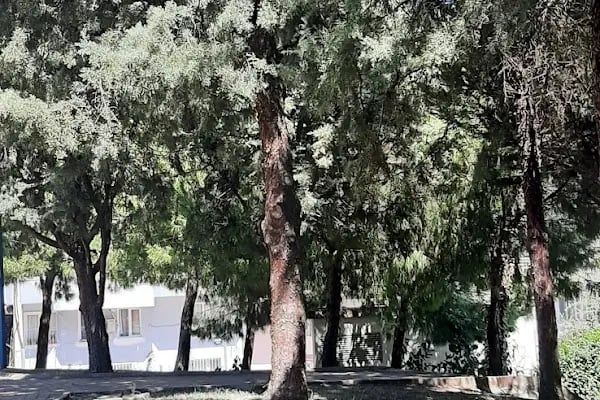 Karabağlar Belediyesi Ahmet Piriştina Doğa Sit Parkı - Resim 20