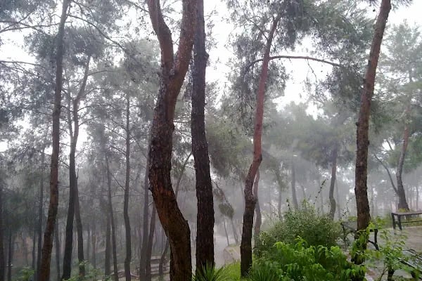 Karabağlar Belediyesi Ahmet Piriştina Doğa Sit Parkı - Resim 12