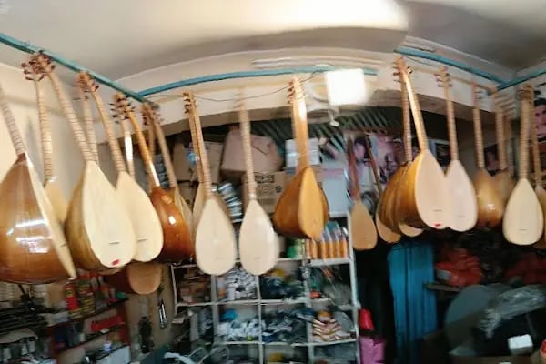 berivan müzik evi - Resim 7