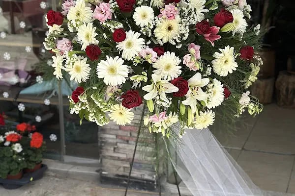 Aygül Çiçekçilik - Resim 7