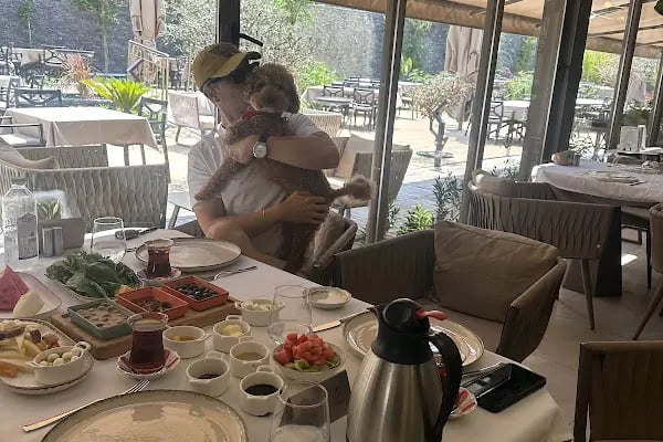 Novo Restaurant - Resim 6