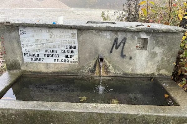 ARABOTURAĞI ORMAN DEPOSU - Resim 1