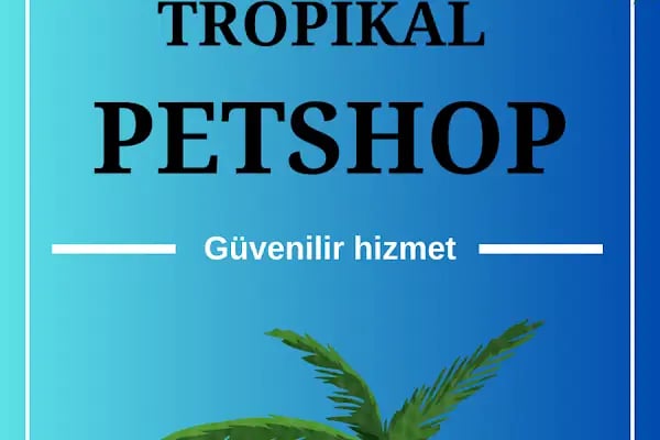 Toyasu Akvaryum &amp; Pet Shop - Resim 3
