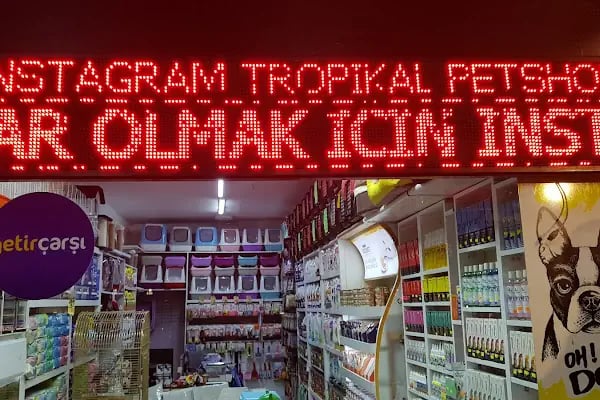 Toyasu Akvaryum &amp; Pet Shop - Resim 1