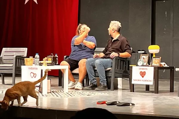 Ayfer Feray Açıkhava Tiyatrosu - Resim 10