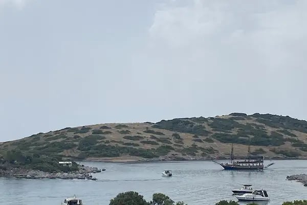 Akvaryum Yürüyüş Yolu - Resim 2