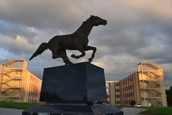 Bursa Uludağ Üniversitesi Veteriner Fakültesi - Resim 2