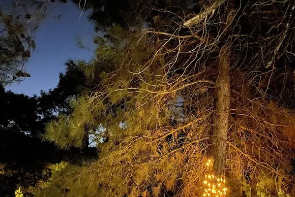 Foça Dome Glamping - Resim 13