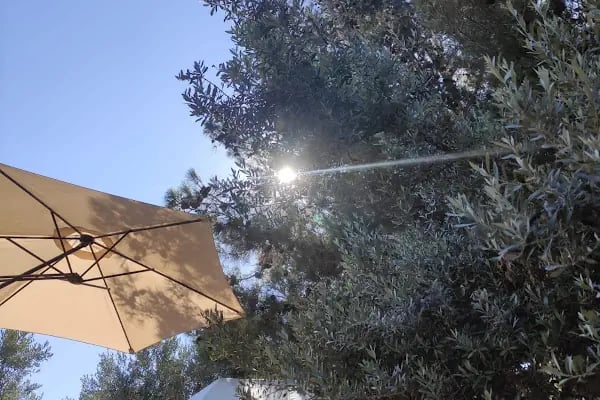 Foça Dome Glamping - Resim 4
