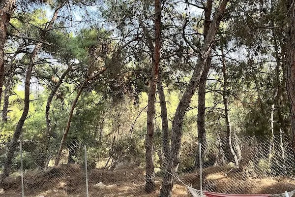 Foça Dome Glamping - Resim 19