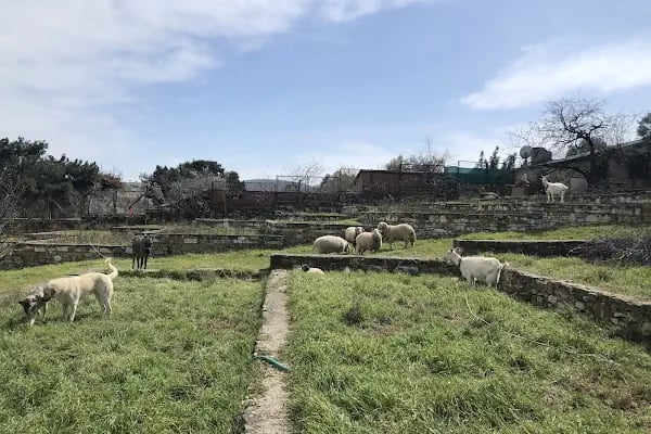 Foça Dome Glamping - Resim 16