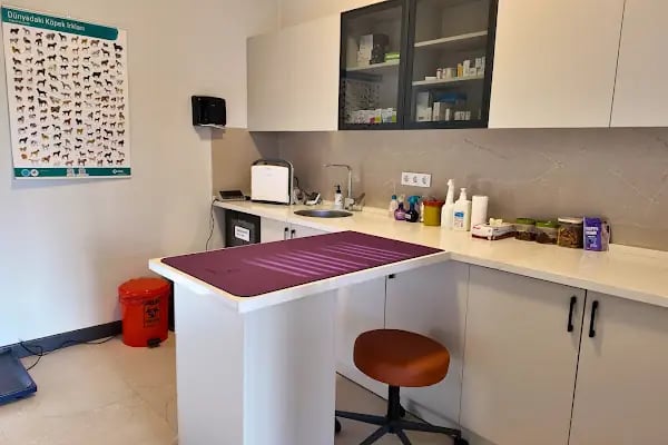 Pedasa Veteriner Kliniği - Resim 11