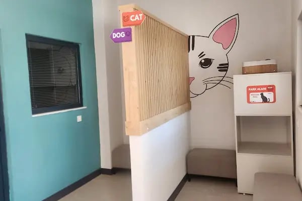 Pedasa Veteriner Kliniği - Resim 4
