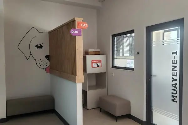 Pedasa Veteriner Kliniği - Resim 8