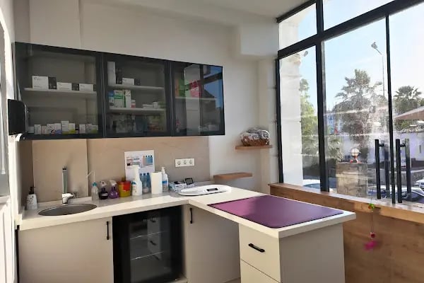 Pedasa Veteriner Kliniği - Resim 2