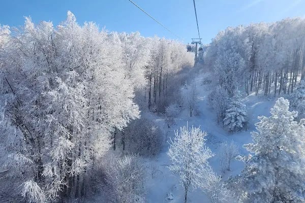 Uludağ Teleferik - Resim 5
