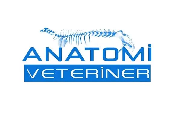 Anatomi Veteriner - Resim 9