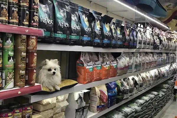 Mahmutlar Can petshop - Resim 8