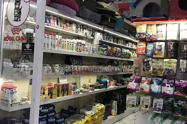 Mahmutlar Can petshop - Resim 10