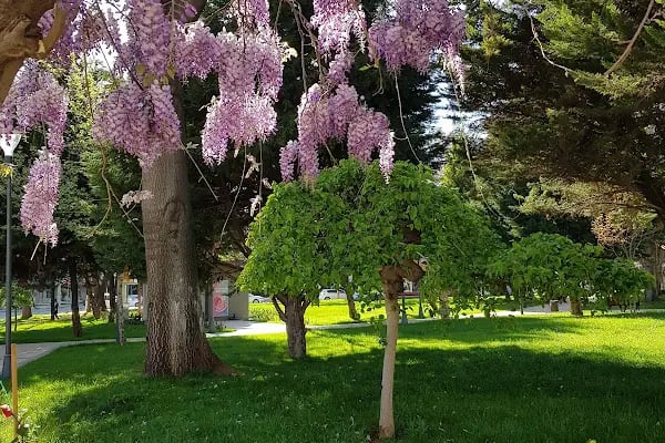 Celal Doğan Parkı - Resim 15