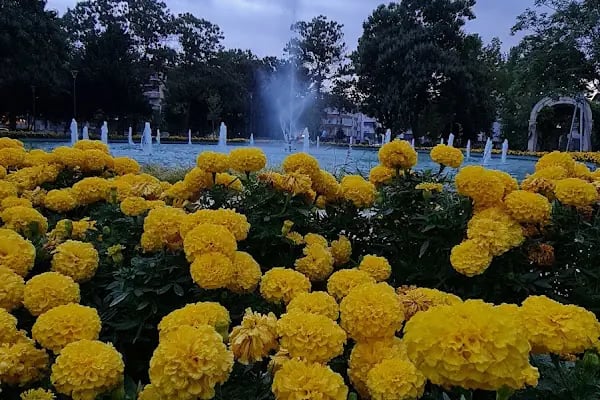 Celal Doğan Parkı - Resim 17