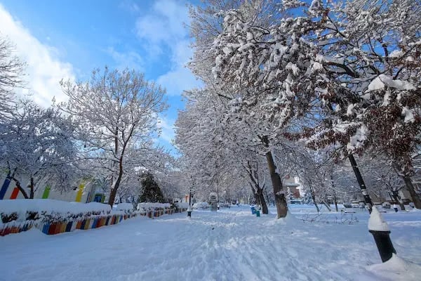 Celal Doğan Parkı - Resim 19