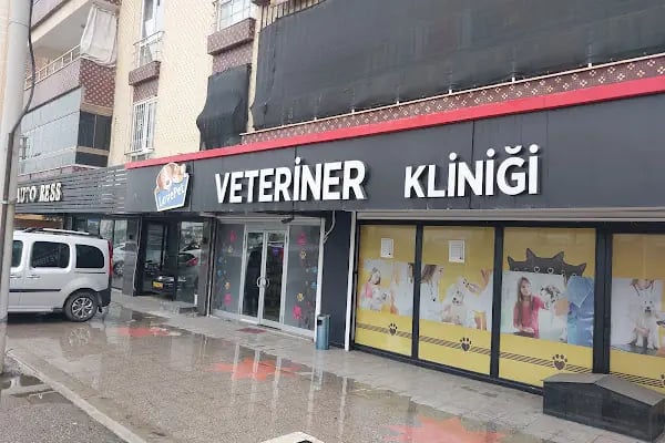 Lovepet Veteriner Kliniği - Resim 13