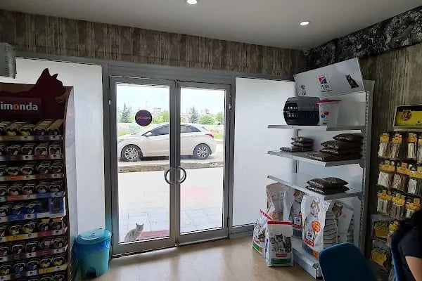 Lovepet Veteriner Kliniği - Resim 3