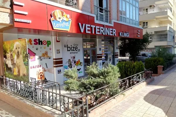 Lovepet Veteriner Kliniği - Resim 14
