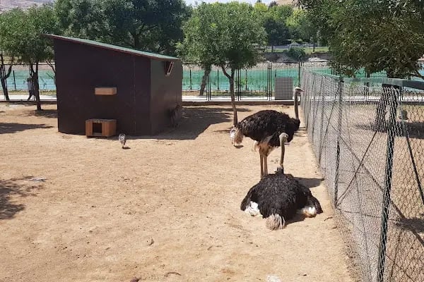 Belsos Tabiat Kır Lokantası - Resim 20