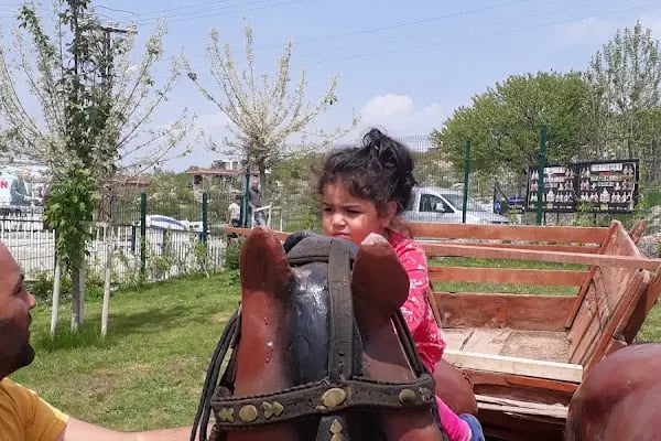Belsos Tabiat Kır Lokantası - Resim 17