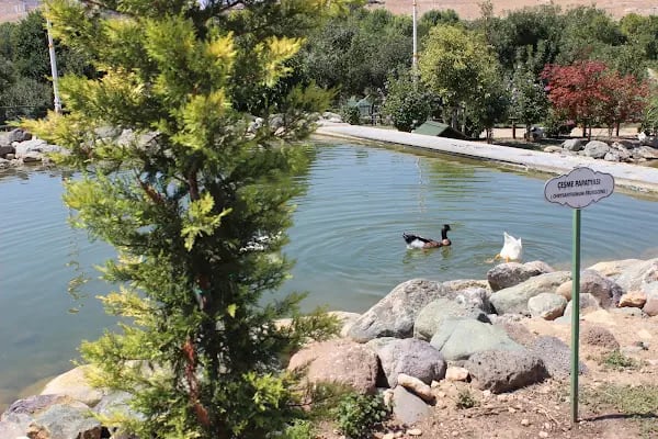 Belsos Tabiat Kır Lokantası - Resim 6