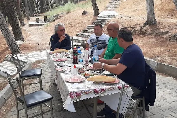 Kale Mesire ve Piknik Alanı - Resim 5
