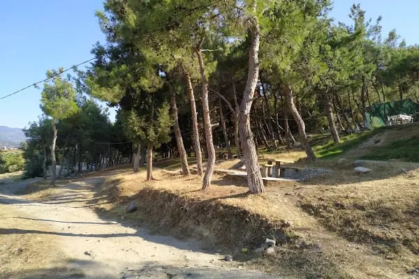 Kale Mesire ve Piknik Alanı - Resim 2