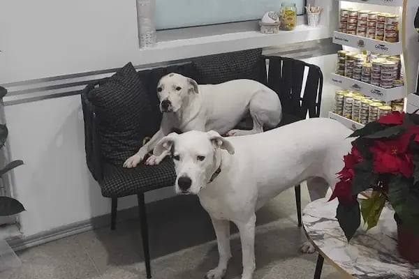 Vet Hayat Veteriner Kliniği - Resim 6