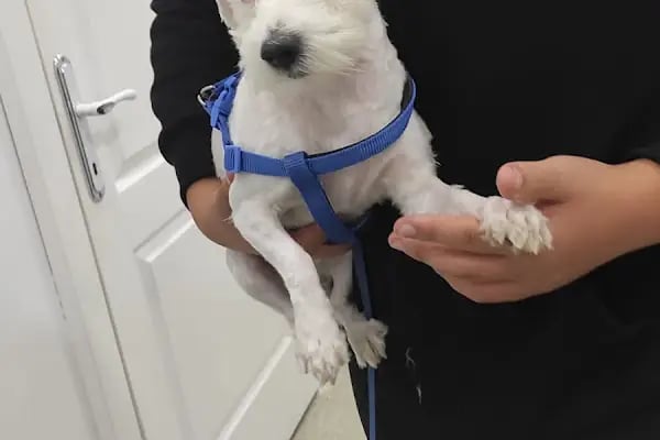 Vet Hayat Veteriner Kliniği - Resim 5