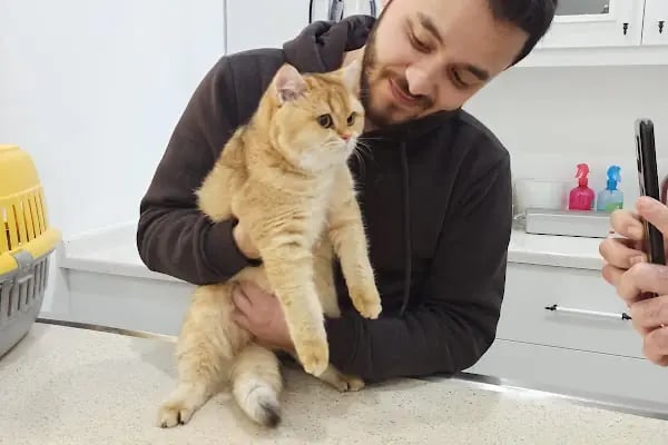 Vet Hayat Veteriner Kliniği - Resim 16