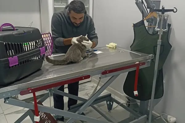 Küçükçekmece White Vet Veteriner Kliniği - Resim 15