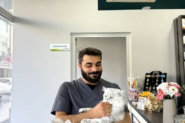 Küçükçekmece White Vet Veteriner Kliniği - Resim 1