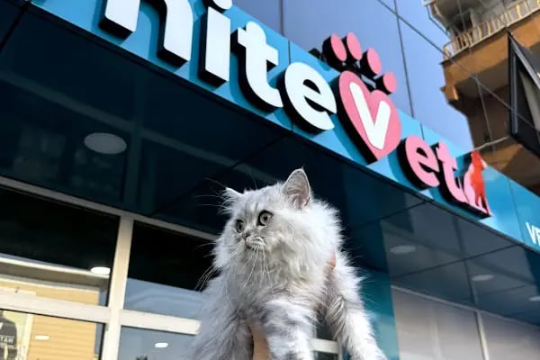 Küçükçekmece White Vet Veteriner Kliniği - Resim 2