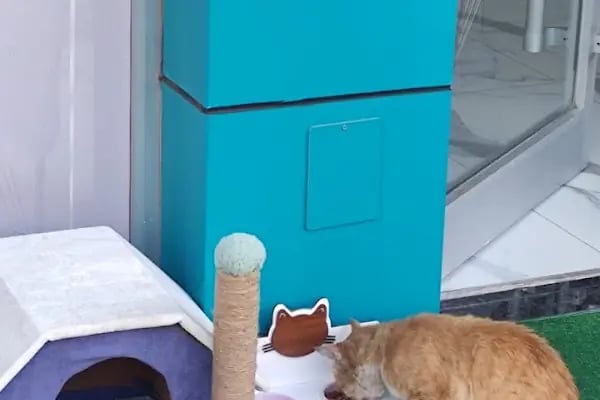 Küçükçekmece White Vet Veteriner Kliniği - Resim 6