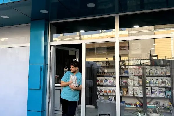Küçükçekmece White Vet Veteriner Kliniği - Resim 8